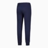 Image Puma ESS PUMA Pants TR cl #2