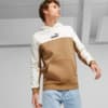 Imagen PUMA Polerón con capucha para hombre Essentials+ Block #1