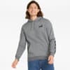 Imagen PUMA Polerón con capucha Essential #1