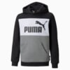 Image PUMA Moletom Essentials+ Colourblock Juvenil #5