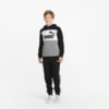 Image PUMA Moletom Essentials+ Colourblock Juvenil #3