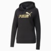 Image PUMA Moletom com Capuz Essentials+ Metallic Logo Terry Feminino #6