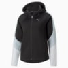 Image Puma Evostripe Full-Zip Hoodie Women #6