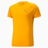 Image PUMA Camiseta Evostripe Masculina #6