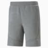 Image Puma Evostripe Shorts Men #6