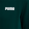 Изображение Puma 854770 #3: Ponderosa Pine