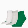 Зображення Puma Шкарпетки PUMA UNISEX QUARTER PLAIN 3P #1: green combo