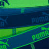 Изображение Puma Детское нижнее белье PUMA BASIC BOXER 3P #3: blue / green