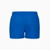 Изображение Puma Шорты для плавания PUMA Swim Men Short Length S #2: colonial blue