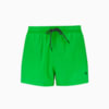 Изображение Puma Шорты для плавания PUMA Swim Men Short Length S #1: Green