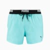 Зображення Puma Шорти для плавання PUMA Swim Men Logo Short Length Swim Shorts #6: Angel Blue