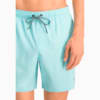 Görüntü Puma PUMA SWIM Erkek Şort Mayo #4