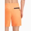 Görüntü Puma PUMA SWIM Erkek Şort Mayo #5