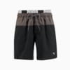Зображення Puma Шорти для плавання PUMA Swim Men Logo Medium Length Swim Shorts #4: black/grey