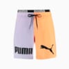 Изображение Puma Шорты для плавания Swim Men's Colour Block Mid Shorts #6: mixed colors