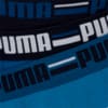 Изображение Puma Мужское нижнее белье  PUMA BASIC BOXER BRAND ELAST #3: TRUE BLUE