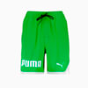 Изображение Puma Шорты для плавания Swim Shorts Men #1: Green