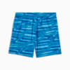 Зображення Puma Шорти для плавання Swim Shorts Men #2: blue combo