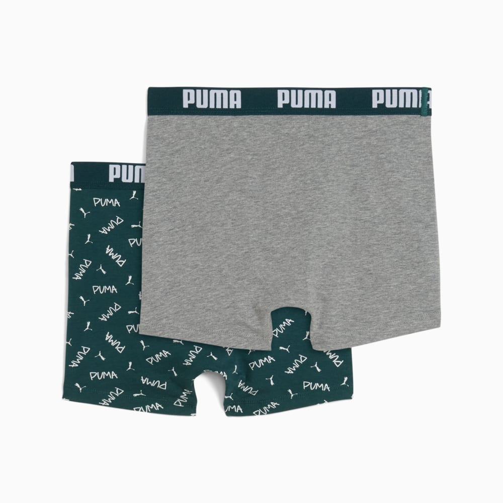Изображение Puma Детское нижнее белье Boys' Boxers (2-Pack) #2: green / grey
