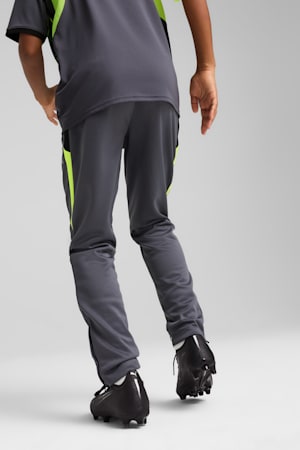 individualLIGA Training Pants Youth, Galactic Gray-Yellow Alert, extralarge-GBR