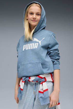 ESS No. 1 Logo Fleece Hoodie Youth, Cool Blue, extralarge-GBR