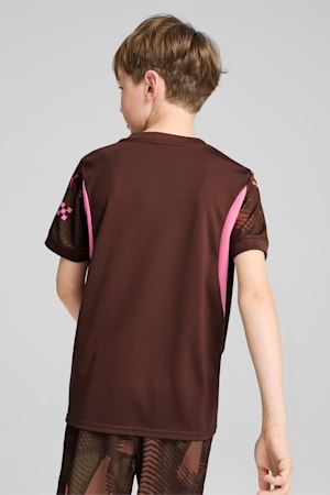 Manchester City 24/25 Goalkeeper Short Sleeve Jersey Youth, Espresso Brown-Wild Willow, extralarge-GBR