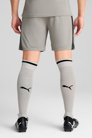 Portugal 2025 Goalkeeper Shorts Men, Smokey Gray-PUMA Black, extralarge-GBR