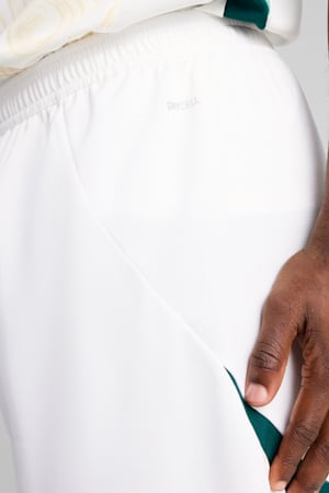 Ivory Coast 2025 Shorts Men, PUMA White-Dark Myrtle, extralarge-GBR