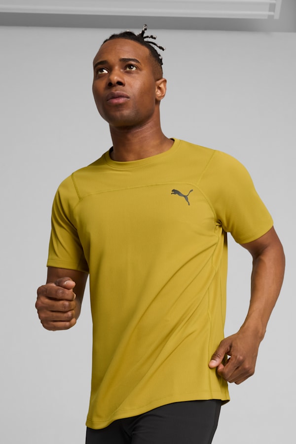 SEASONS Tee Men, Golden Fog, extralarge-GBR