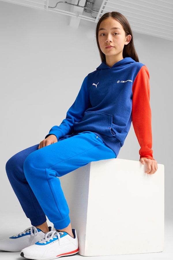 BMW M Motorsport Essentials+ Hoodie Youth, Pro Blue-M Color, extralarge