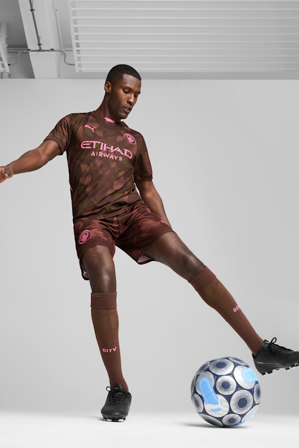 Manchester City 24/25 Goalkeeper Short Sleeve Jersey Men, Espresso Brown-Wild Willow, extralarge