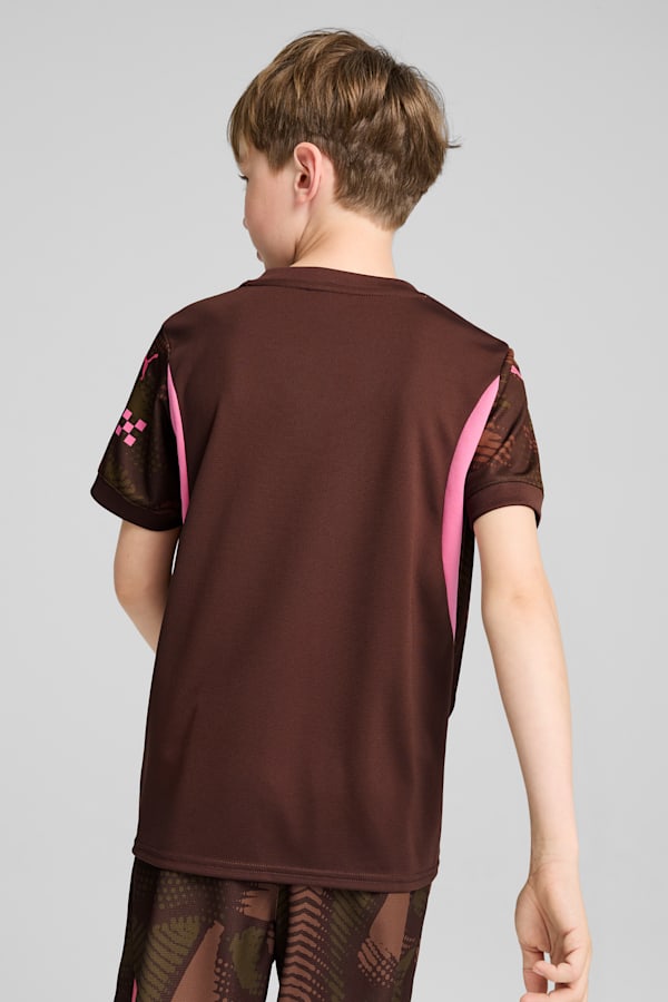 Manchester City 24/25 Goalkeeper Short Sleeve Jersey Youth, Espresso Brown-Wild Willow, extralarge