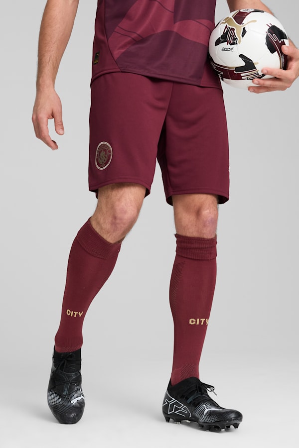 Manchester City 24/25 Shorts Men, Dark Jasper, extralarge