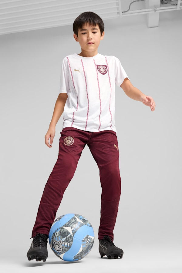 Manchester City Training Pants Youth, Dark Jasper, extralarge