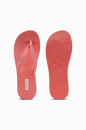 Sandy Flip-Flops Women, Passionfruit-PUMA White, extralarge-GBR