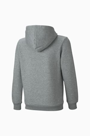 Essentials Big Logo Hoodie Youth, Medium Gray Heather, extralarge-GBR