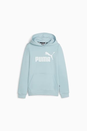 Essentials Logo Hoodie Youth, Turquoise Surf, extralarge-GBR