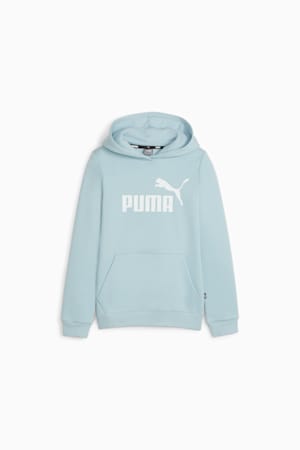 Essentials Logo Youth Hoodie, Turquoise Surf, extralarge-GBR