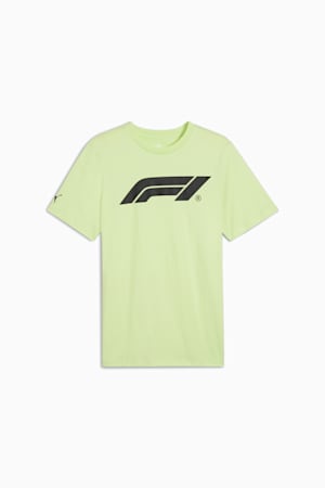 F1® ESS Men's Motorsport Logo Tee, Cool Cucumber, extralarge-GBR