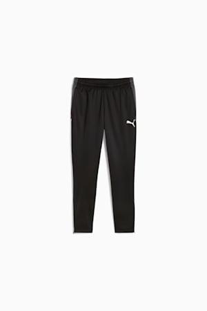 individualLIGA Training Pants Men, PUMA Black-PUMA White-Shadow Gray, extralarge-GBR