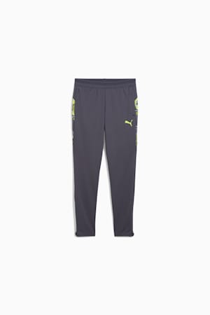 IndividualCUP Football Pants Youth, Galactic Gray, extralarge-GBR
