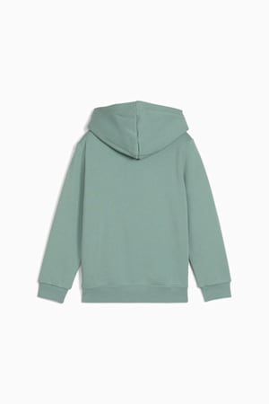 ESS No. 1 Logo Fleece Hoodie Kids, Green Moon, extralarge-GBR