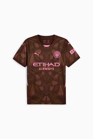 Manchester City 24/25 Goalkeeper Short Sleeve Jersey Men, Espresso Brown-Wild Willow, extralarge-GBR