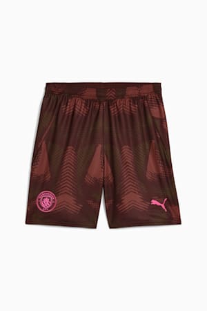 Manchester City 24/25 Goalkeeper Shorts Men, Espresso Brown-Wild Willow, extralarge-GBR