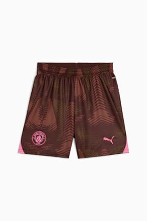 Manchester City 24/25 Goalkeeper Shorts Youth, Espresso Brown-Wild Willow, extralarge-GBR