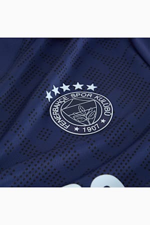 Fenerbahçe SK 24/25 Third Jersey Men, Blue Violet-Icy Blue, extralarge-GBR