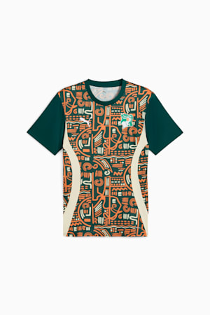 Ivory Coast 2025 Pre-match Jersey Men, Dark Myrtle-Rickie Orange, extralarge-GBR