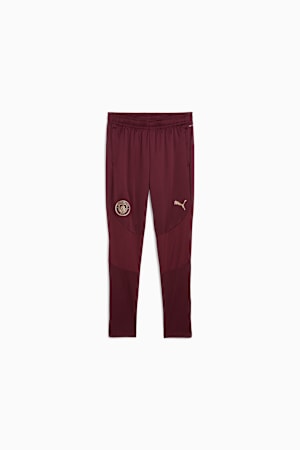 Manchester City Training Pants Men, Dark Jasper, extralarge-GBR