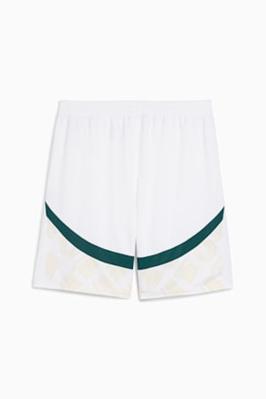 Ivory Coast 2025 Shorts Men, PUMA White-Dark Myrtle, extralarge-GBR