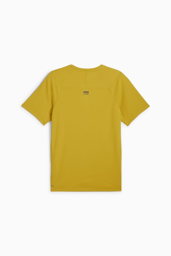 SEASONS Tee Men, Golden Fog, extralarge-GBR